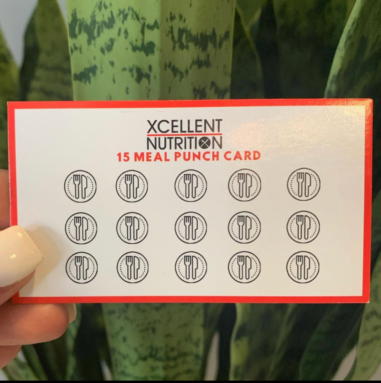 15 Meal Punch Card – Xcellent Nutrition